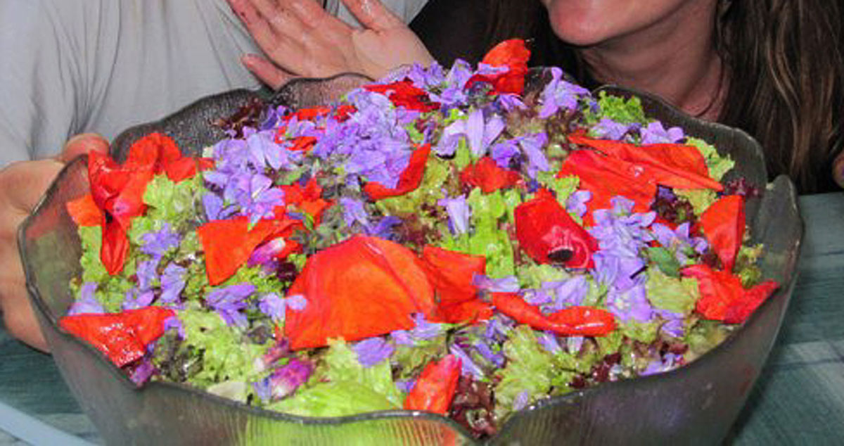 Blütenfarbenpracht im Salat