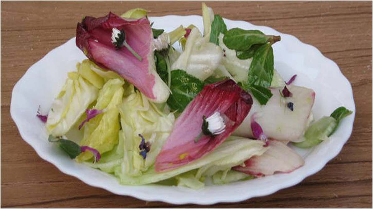   Salat mit Bachbunge